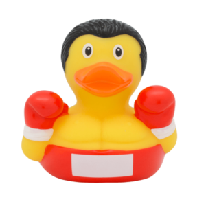 SCRAP & QUACK – The Irish Boxer Duck